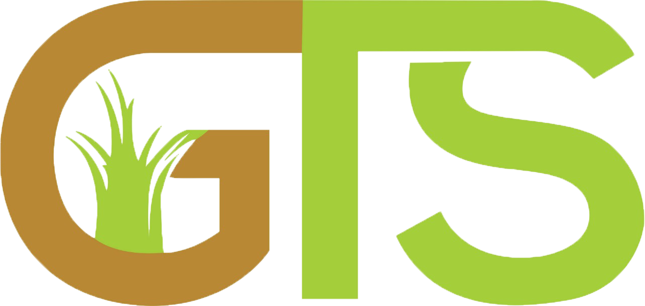 Goldviz Logo